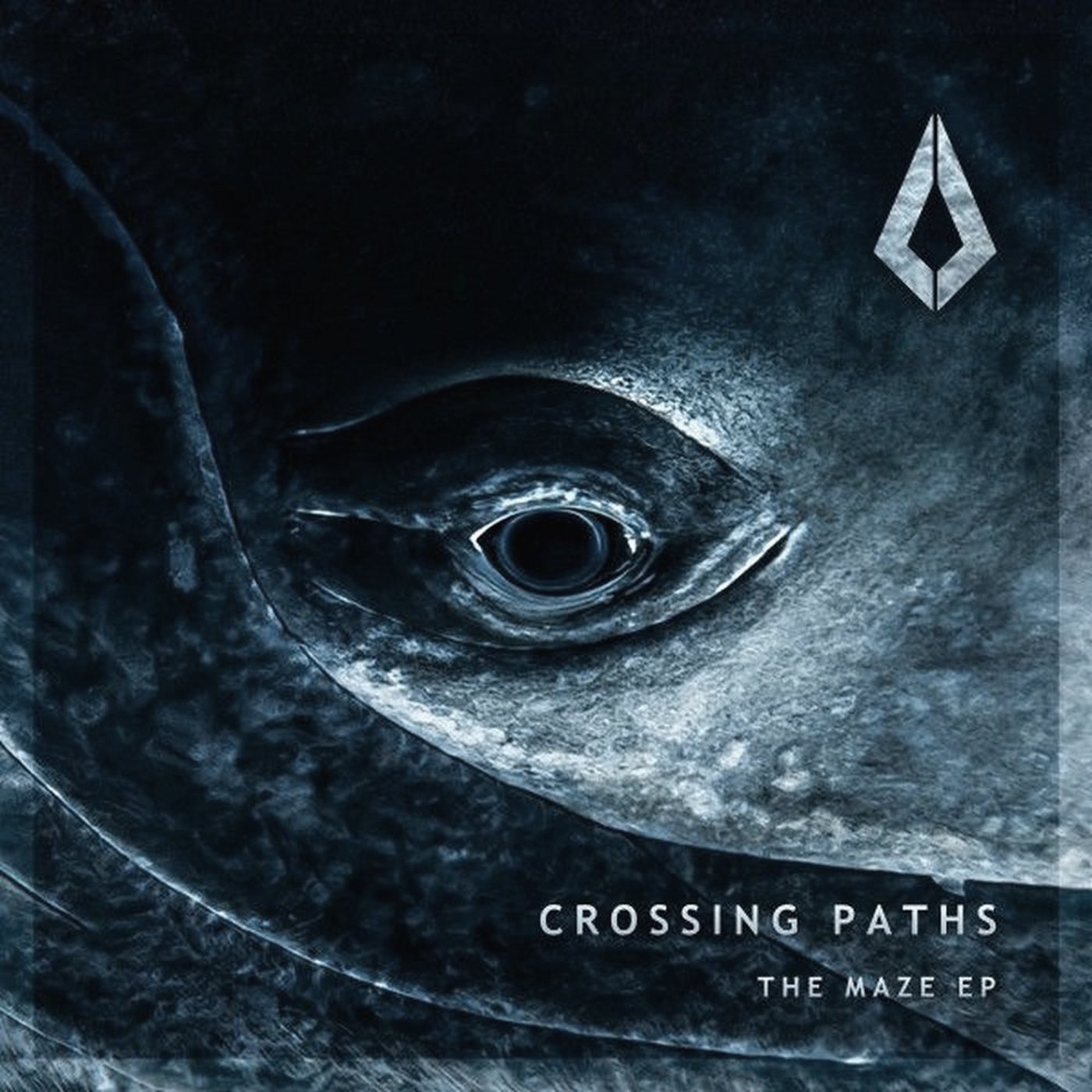 Crossing Paths doesn't pad "The Maze" out to a longer EP — cover art